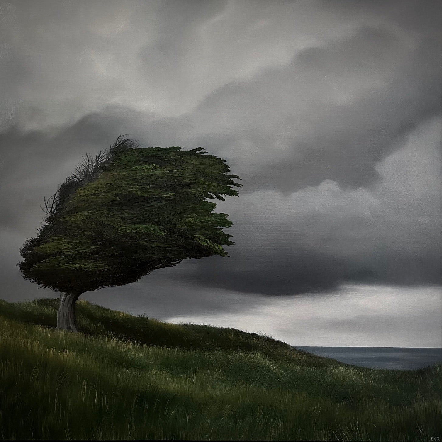 Original Paintings