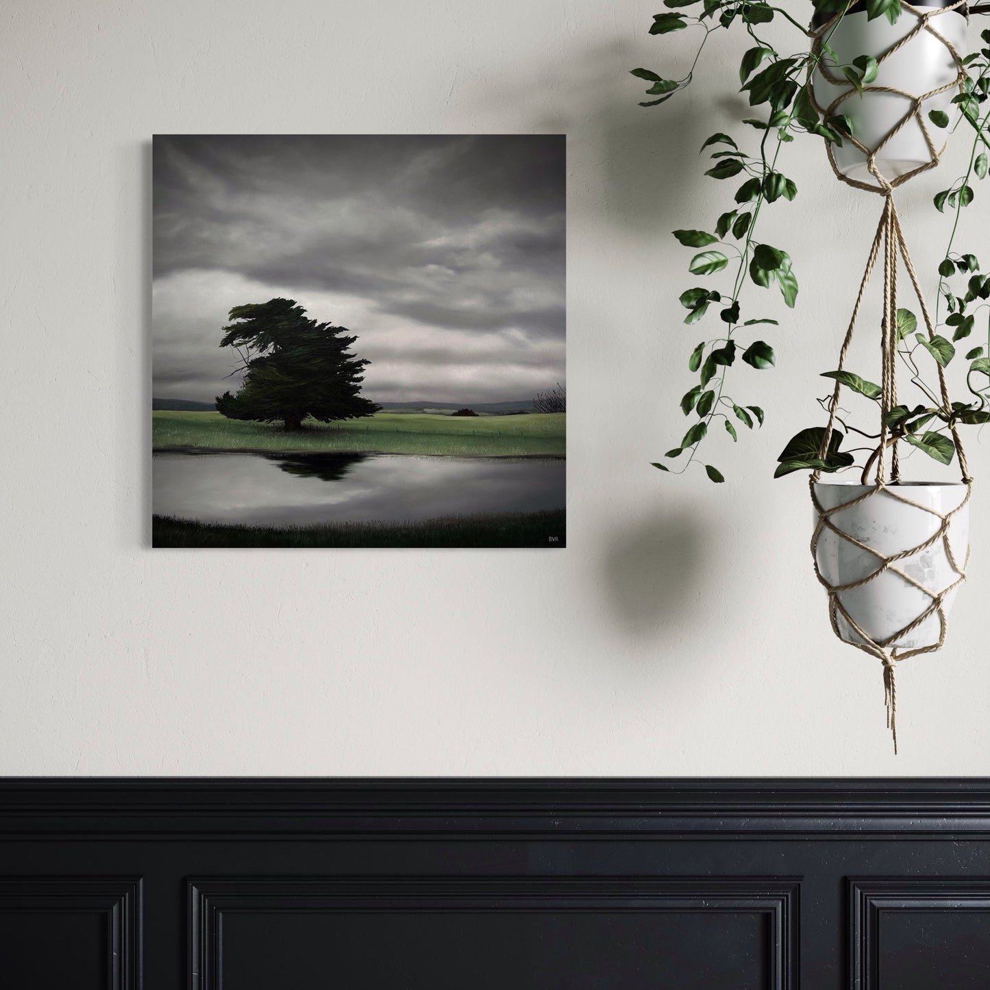 Old Pine Reflections