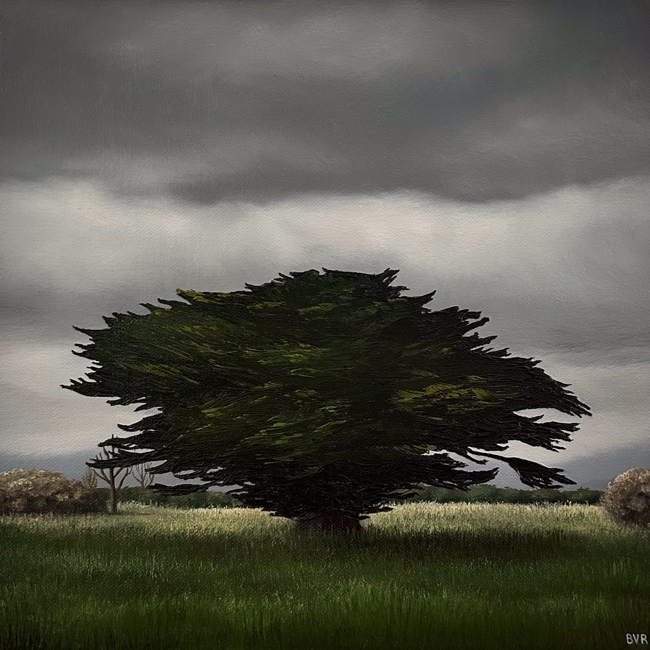 The Lonely Pine
