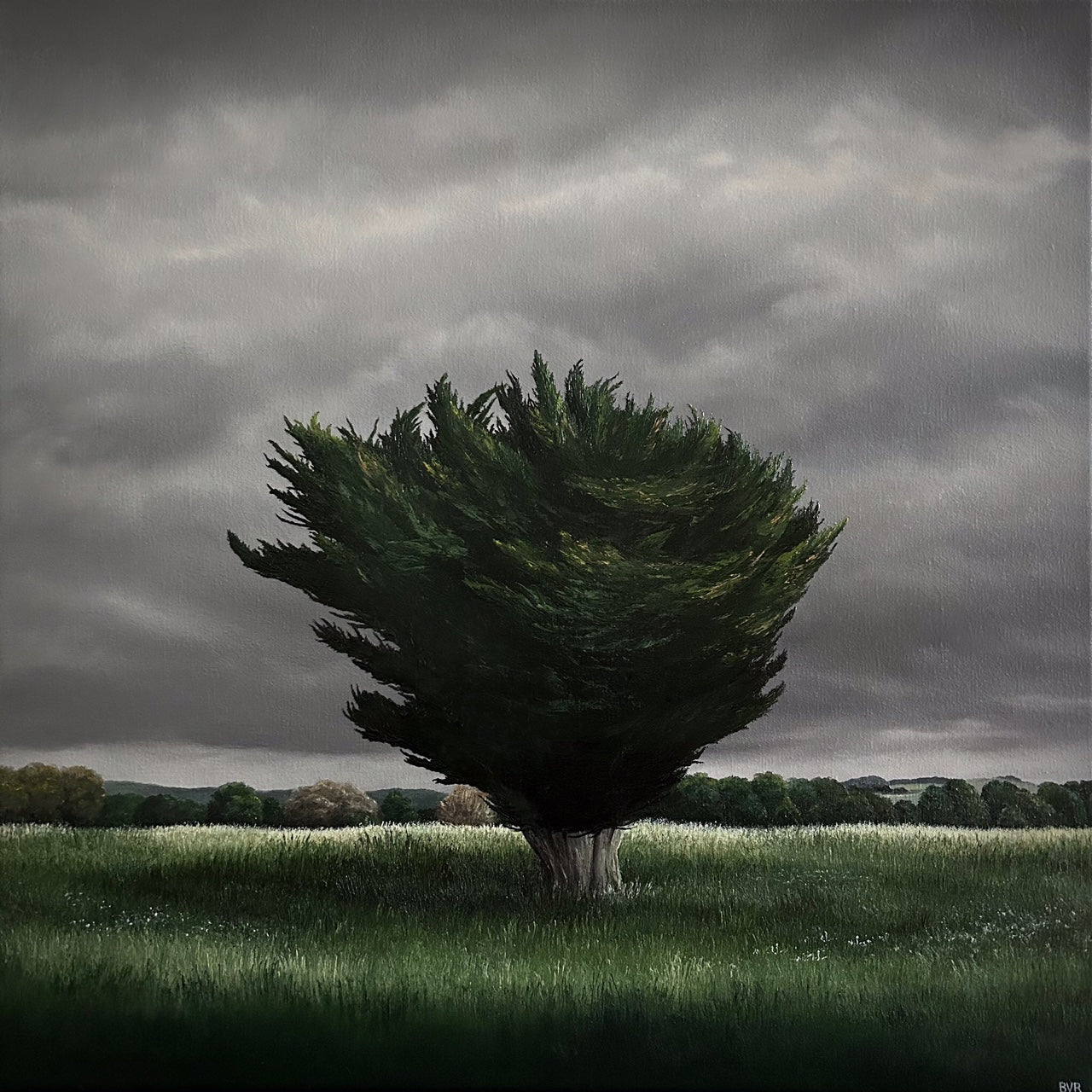The Windy Paddock