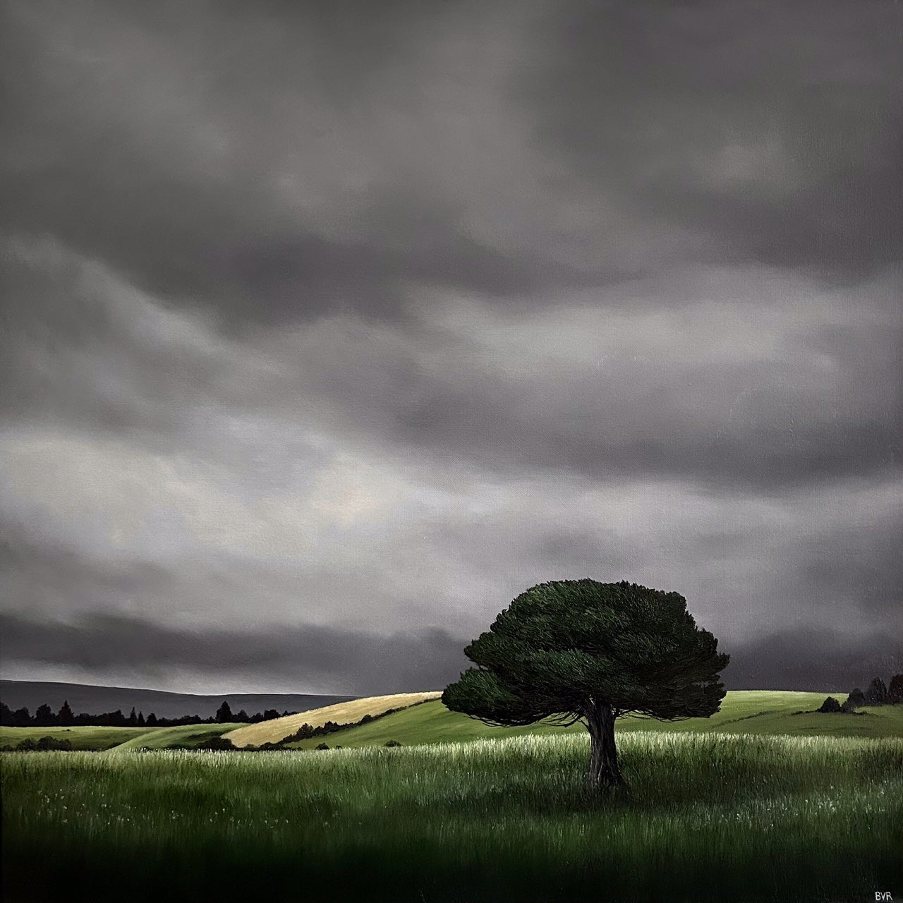 Winter Green